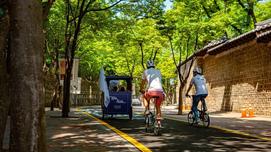 Seoul: Guided Small Group V.I.P Morning Pedicab Tour - Key points at a glance