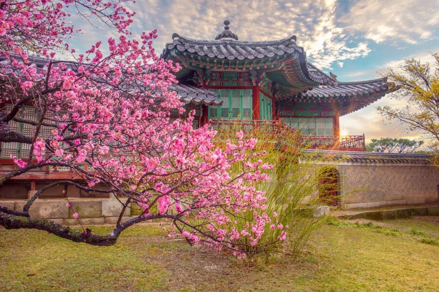 Seoul: Gyeongbok Palace and Bukchon Hanok Walking Tour - Starting at City Hall Station