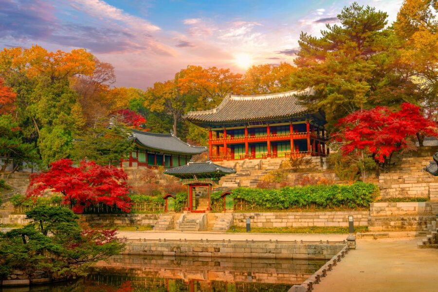 Seoul: Gyeongbok Palace and Bukchon Hanok Walking Tour - Who will get the most from this tour?