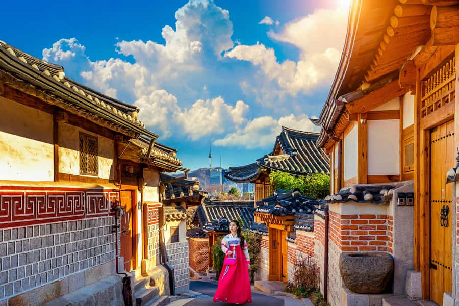 Seoul: Gyeongbokgung / Hanok Village / N Seoul Tower - What private service means on this tour