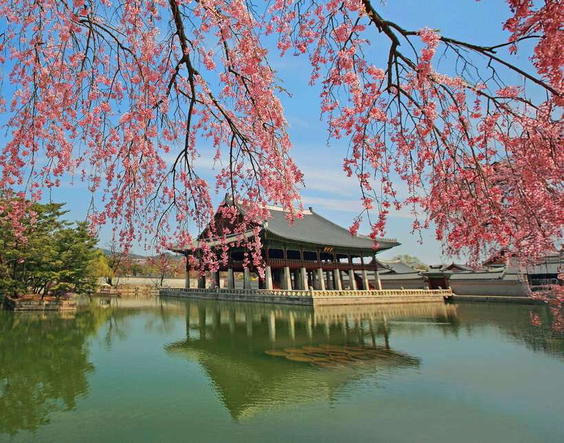 Seoul Highlights: Gyeongbok Palace, Insadong & N Seoul Tower - Why this tour works for a first day in Seoul
