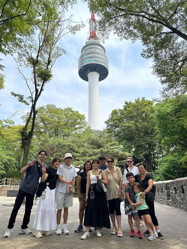 Seoul Highlights: Gyeongbok Palace, Insadong & N Seoul Tower - The ginseng stop is the tour’s commercial pause
