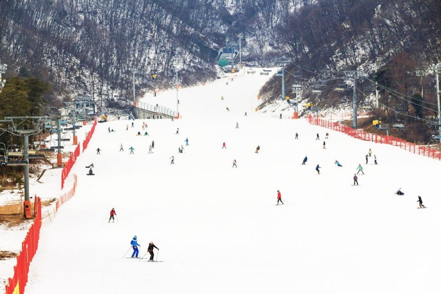 Seoul: Jisan Forest Winter Ski Day Tour with Basic Lesson - Choosing Between Three Packages