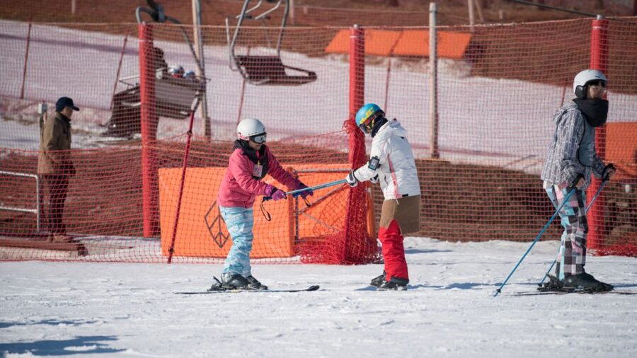 Seoul: Jisan Forest Winter Ski Day Tour with Basic Lesson - Morning Arrival at Jisan Forest