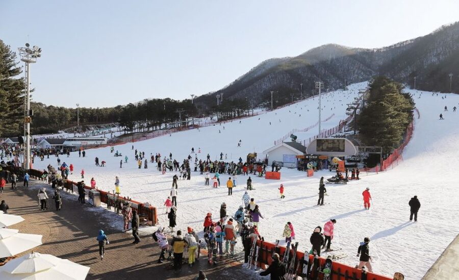 Seoul: Jisan Forest Winter Ski Day Tour with Basic Lesson - Equipment, Clothing, and Extra Costs