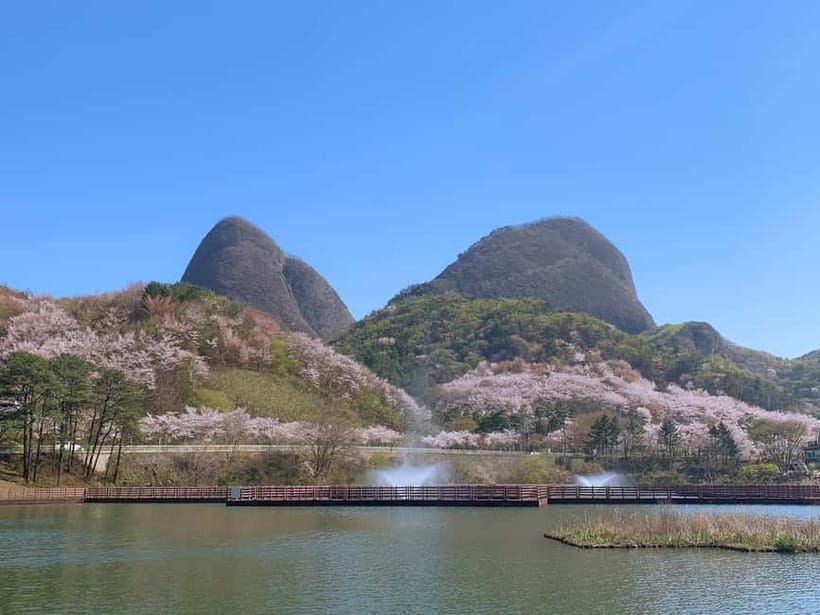 Seoul: Maisan Cherry Blossom and Jeonju Hanok Day Tour - The long ride from Seoul and what it means