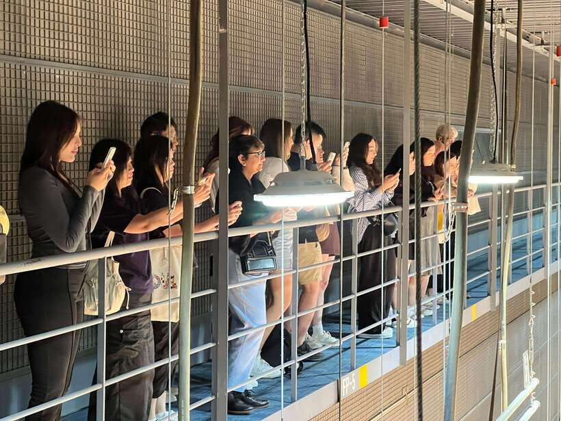 Seoul: MBC Insider Live K-Drama Rehearsal & VIP Studio Tour - Who should book this MBC experience?