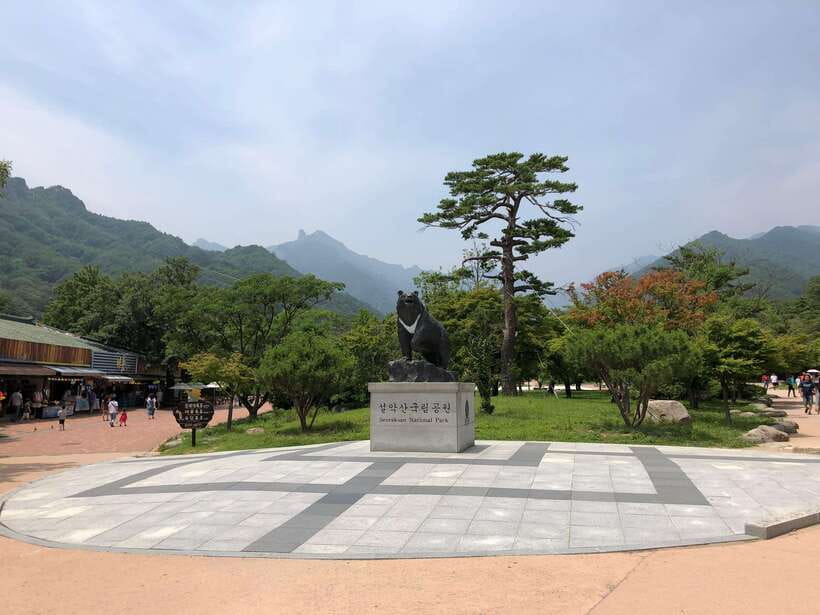 Seoul: Mt.Seorak(+CableCar Option)+Sokcho Fish Market&Beach - The optional cable car and what it changes