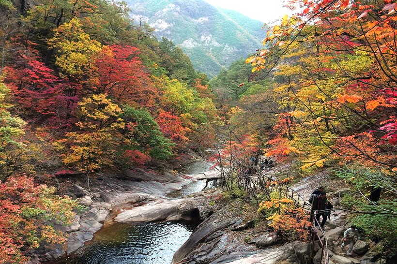 Seoul: Mt.Seorak(+CableCar Option)+Sokcho Fish Market&Beach - What the guide adds to the mountain stop
