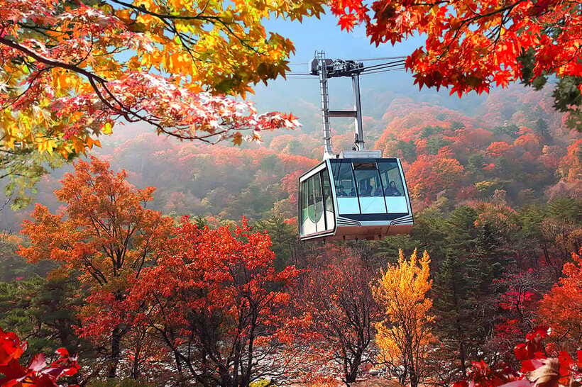 Seoul: Mt.Seorak(+CableCar Option)+Sokcho Fish Market&Beach - Sokcho Tourist Fishery Market in 75 minutes