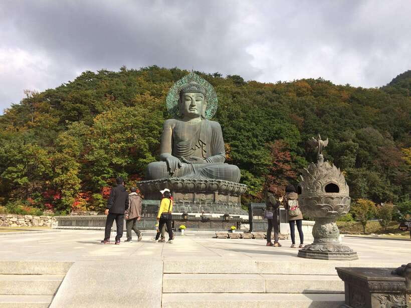 Seoul: Mt.Seorak(+CableCar Option)+Sokcho Fish Market&Beach - Five hours in Seoraksan National Park