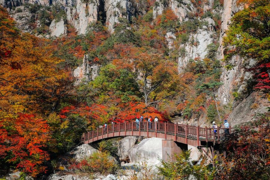 Seoul: Mt Seorak + Naksansa Temple or Nami Island Group Tour - Key points to know before you book