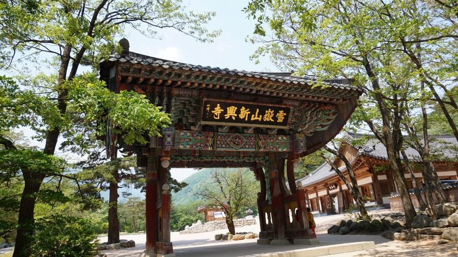 Seoul: Mt Seorak + Naksansa Temple or Nami Island Group Tour - Nami Island, a softer second stop