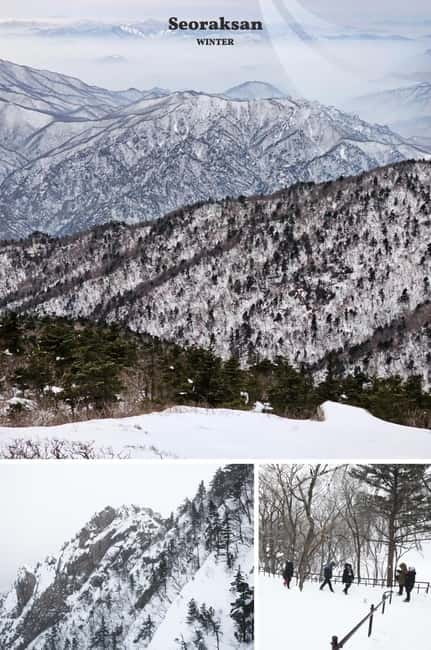 Seoul: Mt. Seorak & Nami Island & Eobi Ice Valley Day Tour - Key points to know before you book