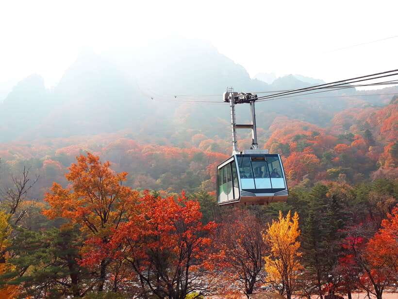 Seoul: Mt.Seorak, Nami Island & Korean Garden, No Shopping - Key points at a glance