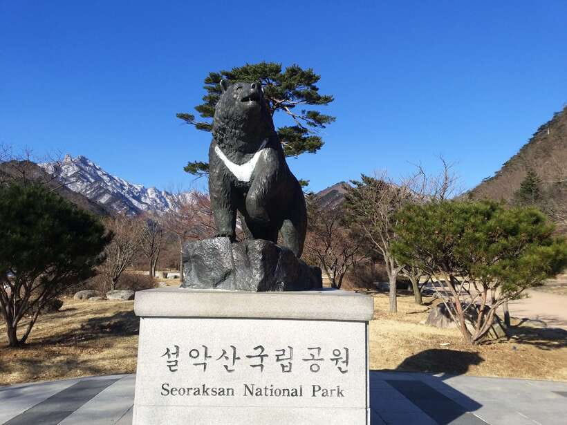Seoul: Mt.Seorak, Nami Island & Korean Garden, No Shopping - Why this day trip works from Seoul