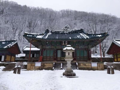 Mt.Seorak, Nami Island & Korean Garden, No Shopping
