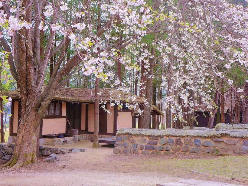 Seoul: Mt.Seorak, Nami Island & Korean Garden, No Shopping - The Garden of Morning Calm after sunset