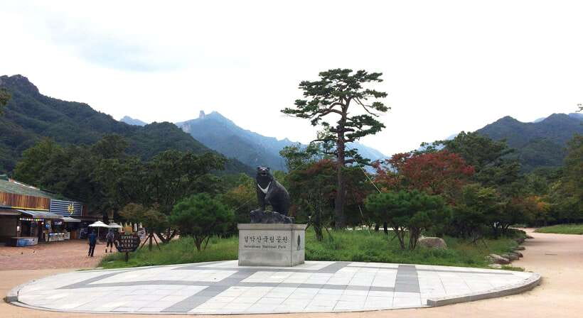Seoul: Mt.Seorak, Nami Island, No Shopping(+RailBike Option) - Key points before you book