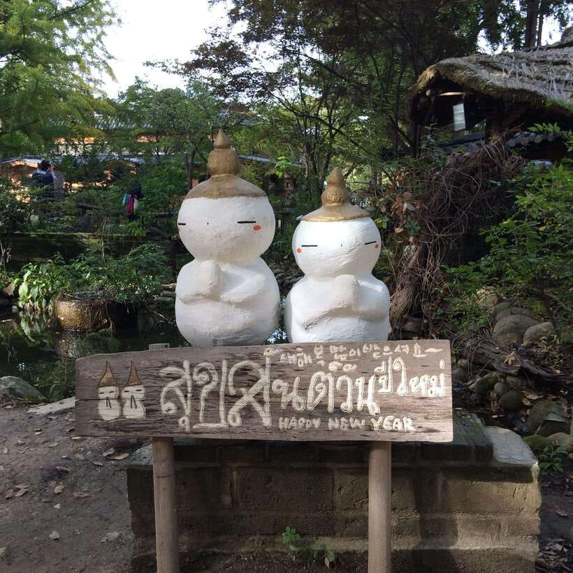 Seoul: Mt.Seorak, Nami Island, No Shopping(+RailBike Option) - Nami Island and the ferry crossing