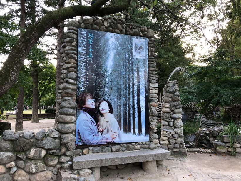 Seoul: Mt.Seorak, Nami Island, No Shopping(+RailBike Option) - Who should book this trip