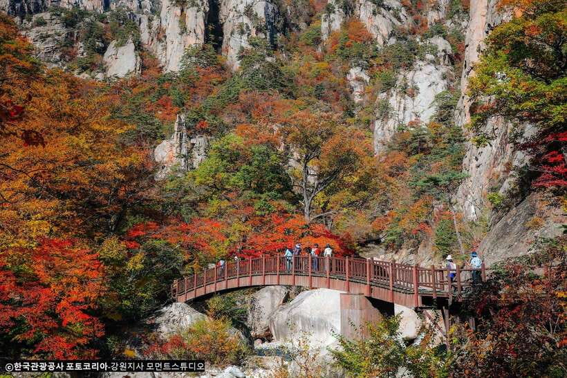 Seoul: Mt.Seorak, Nami Island, No Shopping(+RailBike Option) - The two-hour ride out of Seoul