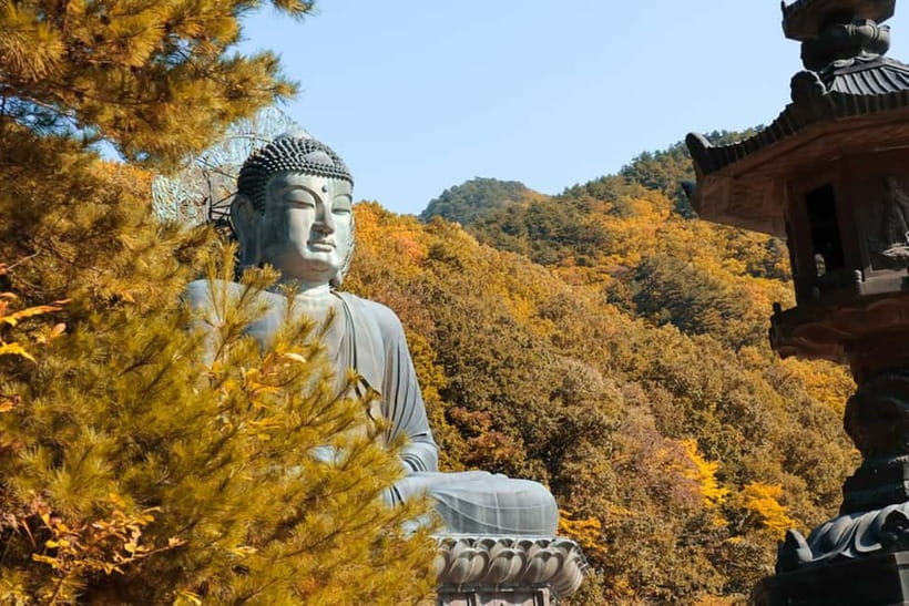 Seoul: Mt. Seoraksan National Park Autumn Foliage Day Tour - Key points before you book
