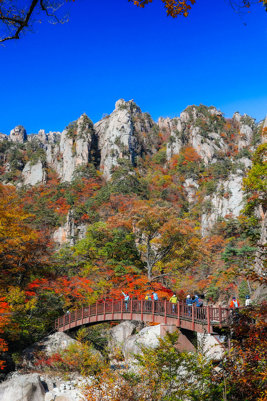 Seoul: Mt. Seoraksan National Park Autumn Foliage Day Tour - Five hours to choose your own Seoraksan day