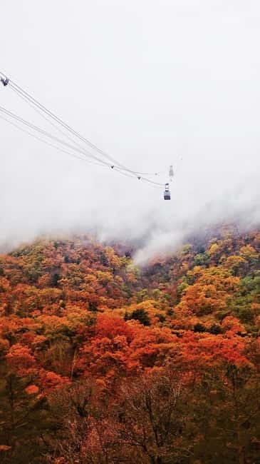 Seoul: Mt. Seoraksan National Park Autumn Foliage Day Tour - Ulsanbawi: spectacular views at a steep price