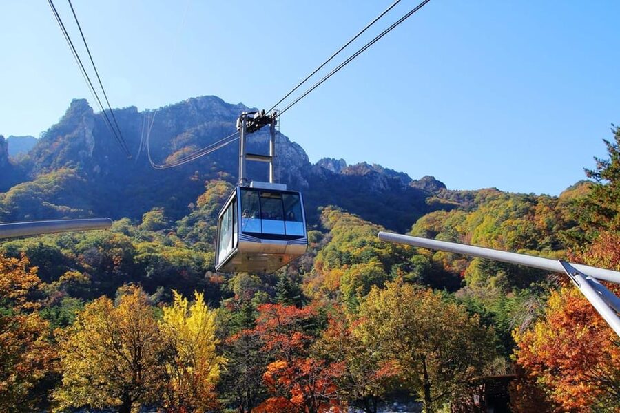 Seoul: Mt. Seoraksan National Park Autumn Foliage Day Tour - Guides and the level of support