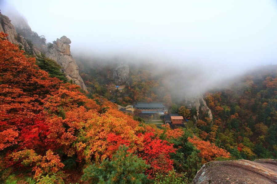 Seoul: Mt. Seoraksan National Park Autumn Foliage Day Tour - What the $60 price really covers