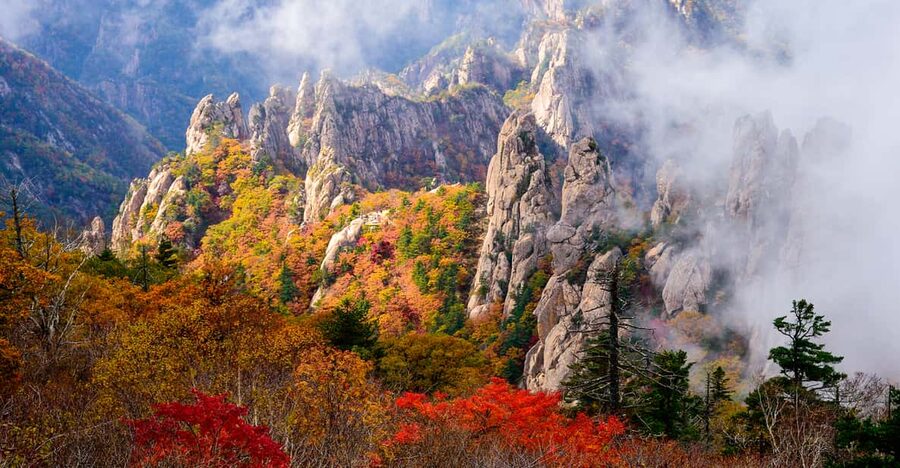 Seoul: Mt. Seoraksan National Park Autumn Foliage Day Tour - The early ride from Seoul to the mountains
