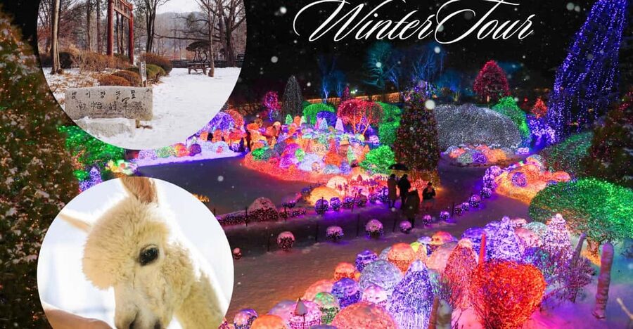 Seoul: Nami and K-Garden with Optional Alpaca Winter Tour - Why this winter day trip works