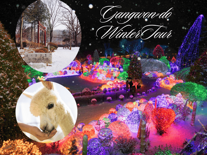 Seoul: Nami and K-Garden with Optional Alpaca Winter Tour - Eobi Valley and its frozen waterfall