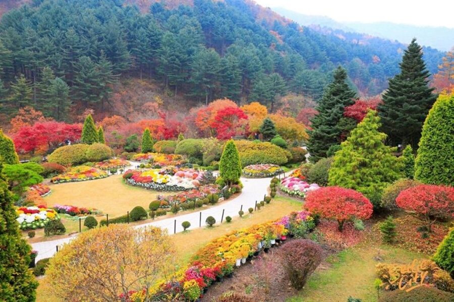 Seoul: Nami and Petite France Tour with Optional K-Garden - Italian Village adds Pinocchio and Da Vinci