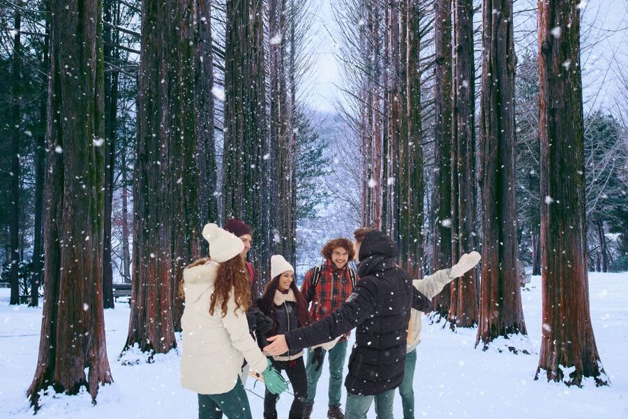 Seoul: Nami and Petite France Tour with Optional K-Garden - The Garden of Morning Calm is the best optional upgrade for nature lovers