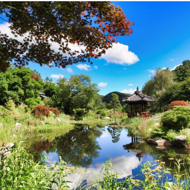 Seoul: Nami and Petite France Tour with Optional K-Garden - Lunch is simple, separate, and worth planning around