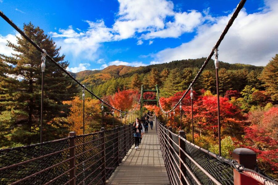 Seoul: Nami and Petite France Tour with Optional K-Garden - Guides and language can shape the experience