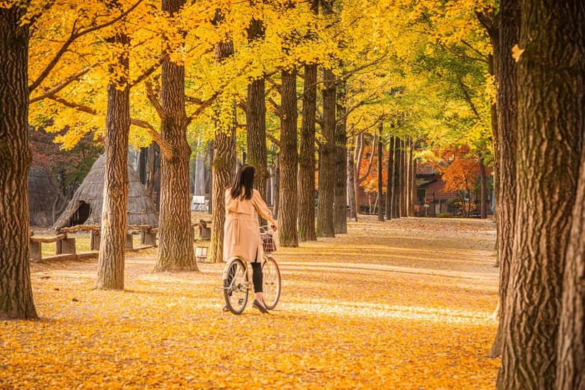 Seoul: Nami Island and Garden of Morning Calm opt Railbike - Nami Island: more than a K-drama photo stop