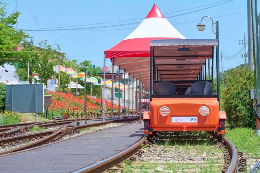 Seoul: Nami Island and Garden of Morning Calm opt Railbike - Gangchon Railbike: the most active choice
