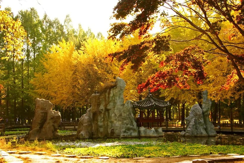 Seoul: Nami Island, Garden and Petite France (opt. Railbike) - Nami Island: the reason many people book