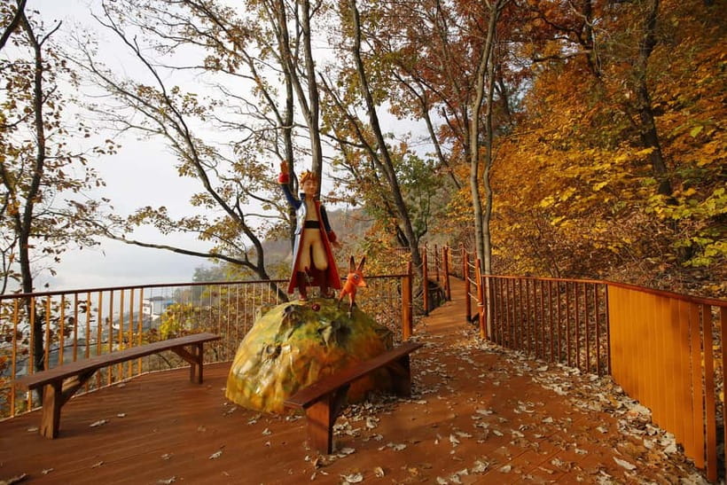 Seoul: Nami Island, Garden and Petite France (opt. Railbike) - What the guides add to the day