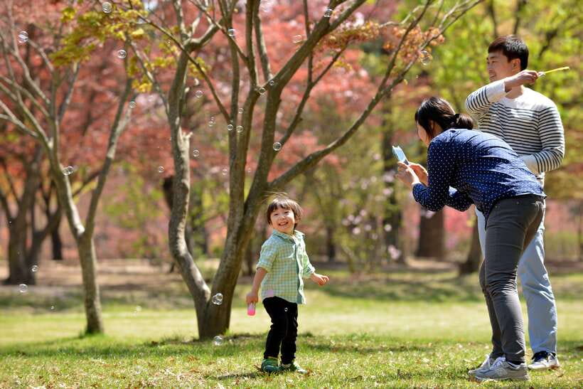 Seoul: Nami Island & Petite France Tour with Railbike Option - Italian Village and the Pinocchio connection