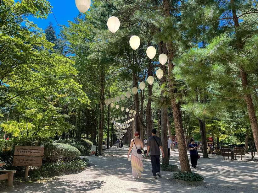 Seoul: Nami Island & Petite France Tour with Railbike Option - Petite France in a 45-minute visit