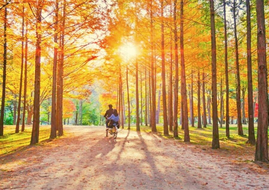 Seoul: Nami, Petite France, Italian Village, Railbike Option - The road east from Seoul