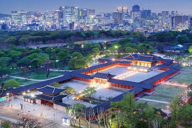 Seoul Night Tour (Gwangjang Market, Royal Palace and Naksan Park) - Naksan Park and the Seoul city wall