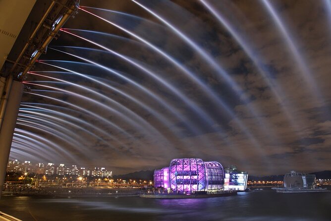 Seoul Night Tour with Han River Cruise and Gyeongbokgung Palace - Key points to know before booking