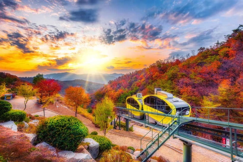 Seoul: Pocheon Art Valley, Garden and Fruit Picking Day Tour - At a glance