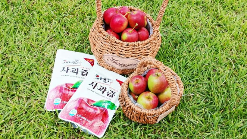 Seoul: Pocheon Art Valley, Garden and Fruit Picking Day Tour - The farm stop changes with the calendar