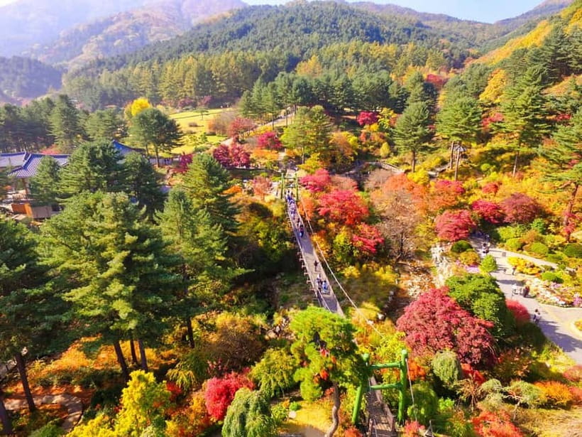 Seoul: Pocheon Art Valley, Garden and Fruit Picking Day Tour - Guides, languages, and the rhythm of the day